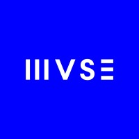 MVSE logo - Similar company to Beinclusive