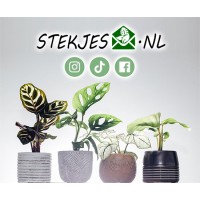 Stekjesbrief logo - Similar company to Fleurdirect