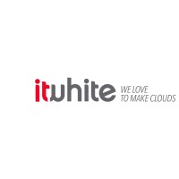 IT White logo - Similar company to Nanotc