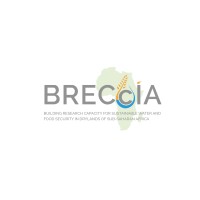 Breccia