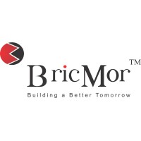BRICMOR INFRA PROJECTS PRIVATE LIMITED logo - Similar company to M. R. Construction