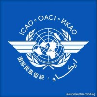 ICAO AVSEC Regional TC - Cairo, Egypt logo - Similar company to Mitchell Group Private Security Firm