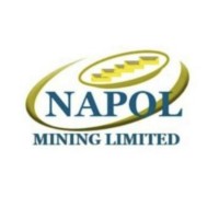 NAPOL MINING & PLASTIC CO LTD logo - Similar company to Behm Freight Services Ltd