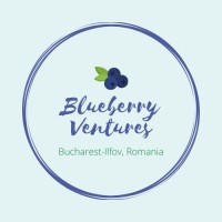Blueberry Ventures logo - Similar company to 503 Distilling