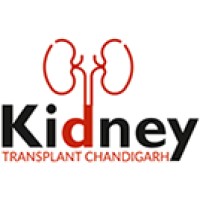 Kidney Transplant Chandigarh Hospital logo - Similar company to Kidney Transplant Network