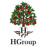 HGroup SA logo - Similar company to Hgroup