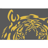 Panthera Resources PLC logo - Similar company to Zaks Traders Cafe