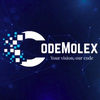 CodeMolex logo - Similar company to Solvevare