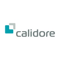 Calidore logo - Similar company to Dxd Group