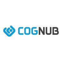 Cognub Decision Solutions logo - Similar company to Krythium