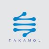Takamol LLC logo - Similar company to Techive Yazılım Ve Danışmanlık