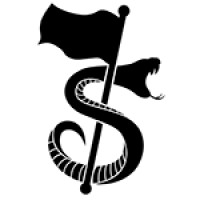 Black Flag Agency - Performance Marketing logo - Similar company to Klickwunder Gmbh - Performance Marketing Für Online Shops 🛒