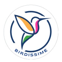 BIRDISSIME logo - Similar company to All Bar None Events Ltd