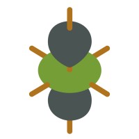 Alma Metals logo - Similar company to Flagship Minerals (Asx:Flg)
