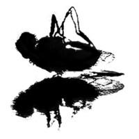 Deadfly Media