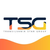 Transilvania Star Group logo - Similar company to Digital Nation