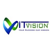 IT Vision logo - Similar company to Apps Patrols For It Consulting.