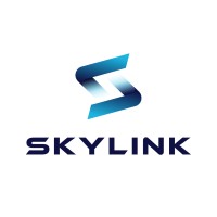 Skylink IT Services logo - Similar company to Think It Future