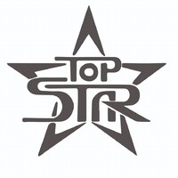Top Star Srl logo - Similar company to Fungho Gadget