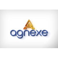 Agnexe logo - Similar company to Prosoft Academy