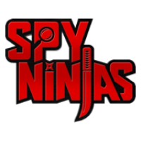 SPY NINJAS logo - Similar company to Startupbros
