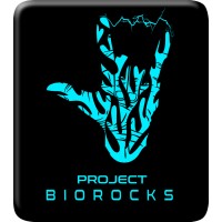 BioRocks logo - Similar company to The New Block