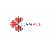 TeamAce logo - Similar company to Vava Projects Ltd