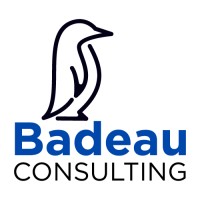 Badeau Consulting, LLC logo - Similar company to Elevate For Impact