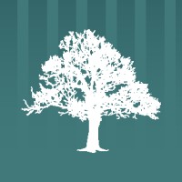 Capital Values Desarrolladora logo - Similar company to Xia Experience