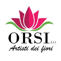 ORSI srl logo - Similar company to Gravity Joe