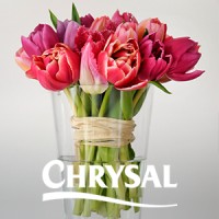 Chrysal International BV logo - Similar company to Modiform B.V.