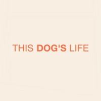 This Dog's Life logo - Similar company to Simply For Strings