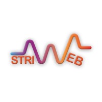 STRIWEB logo - Similar company to Coshera Jsc