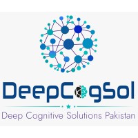Deep Cognitive Solutions Pakistan logo - Similar company to Deep Cognition