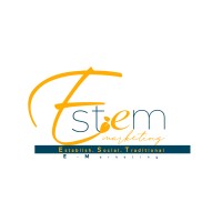 E-STEM Marketing - Best Brand Management & Digital Marketing Agency logo - Similar company to Ms Digital Marketing Dynamics