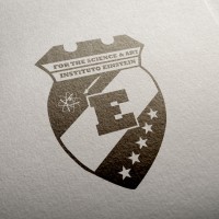 Instituto Einstein logo - Similar company to Iiepd