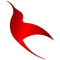 Redbird Infovision Solution Pvt Ltd logo - Similar company to Perked