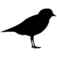 Plover Digital Llc