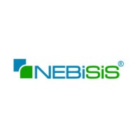 Nebisis logo - Similar company to Ev3S