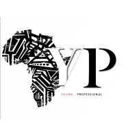 Young Professional: Africa logo - Similar company to Innovative Cfo