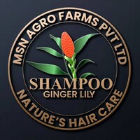 Shampoo Ginger Lily logo - Similar company to Arjuni