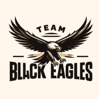 Black Eagles Team logo - Similar company to Coding&&Community