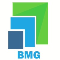 BMG - ბიზნესის მართვის ჯგუფი logo - Similar company to Auditescort