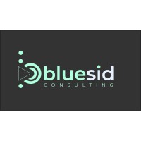 Bluesid Consulting logo - Similar company to Network Empreendimentos