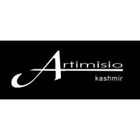 Artimisio S.r.l. logo - Similar company to Jolipoli