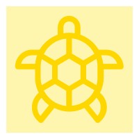 Golden Coin Turtle studio logo - Similar company to Coti Group