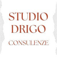 Studio Drigo Consulenze logo - Similar company to 2Group