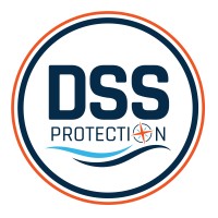 DSS Protection logo - Similar company to Rise Results
