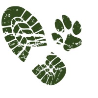 Hidden-in-Sight logo - Similar company to Naturewatch Foundation