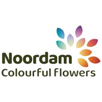 Noordam Colourful Flowers logo - Similar company to Study Association B.I.L.